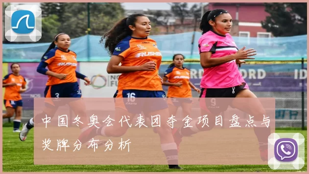 中国冬奥会代表团夺金项目盘点与奖牌分布分析