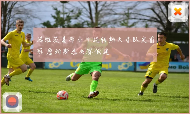 诺维茨基率小牛逆转热火夺队史首冠 詹姆斯总决赛低迷