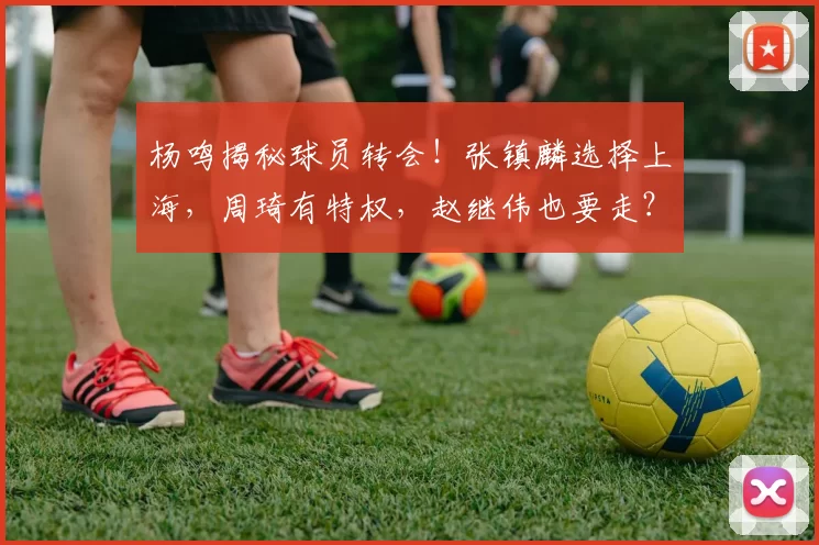 杨鸣揭秘球员转会！张镇麟选择上海，周琦有特权，赵继伟也要走？