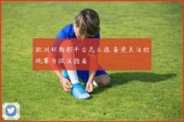 欧洲杯购彩平台怎么选 备受关注的观赛与投注指南